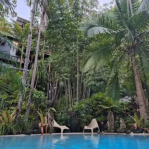 Alaya Escape Bed & Breakfast